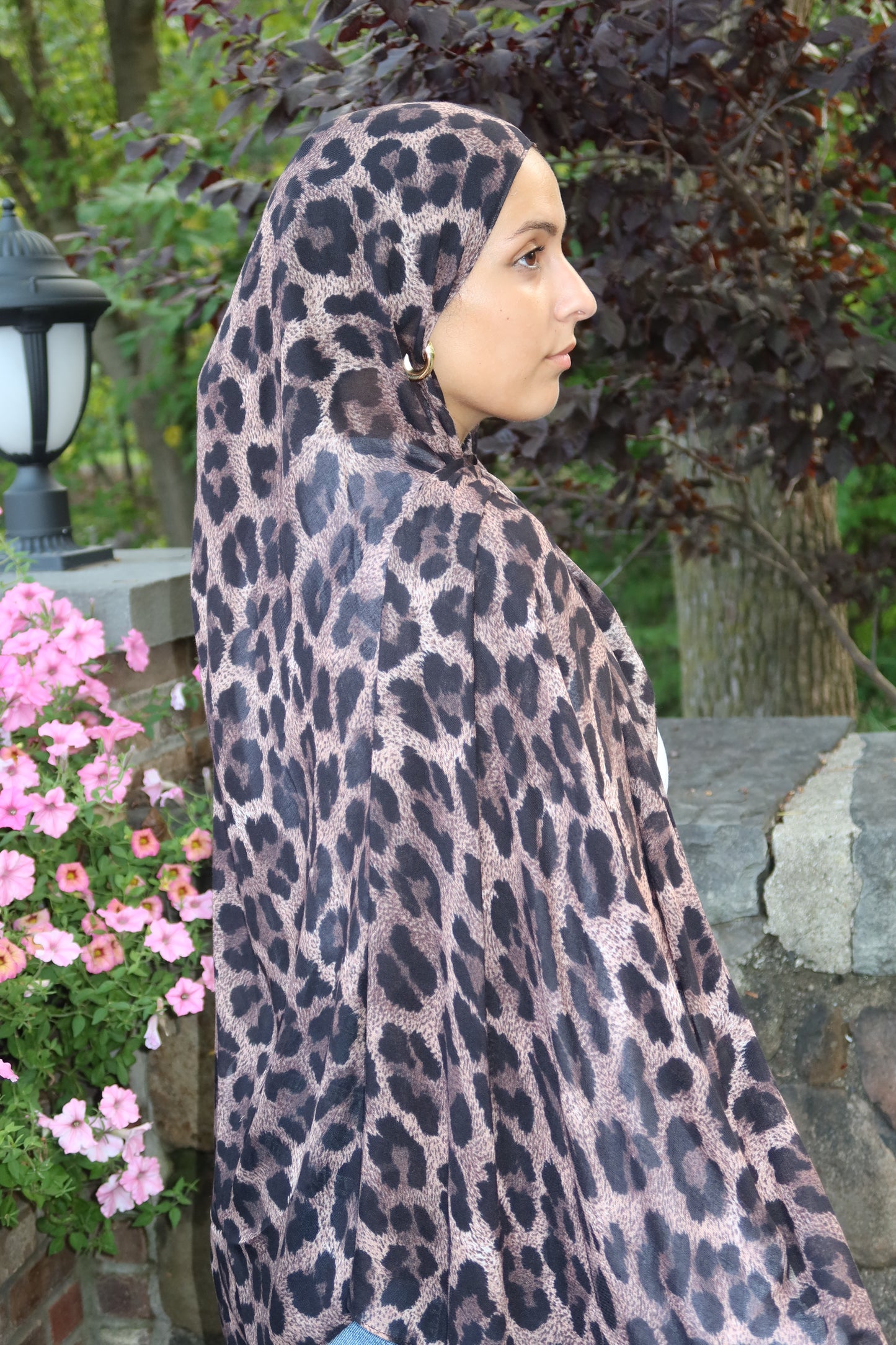 Mocha Espresso Leopard