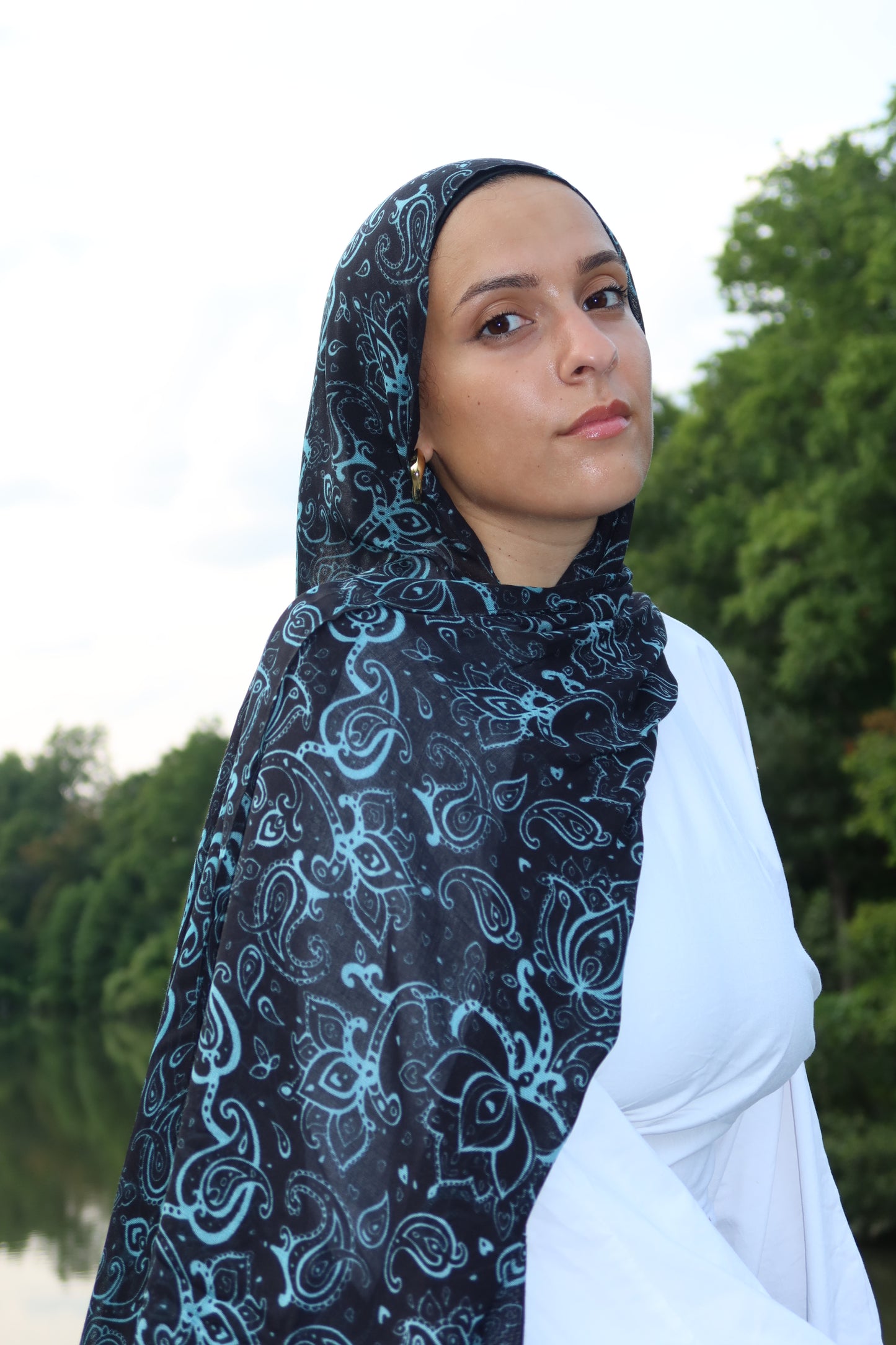 Midnight Teal Paisley