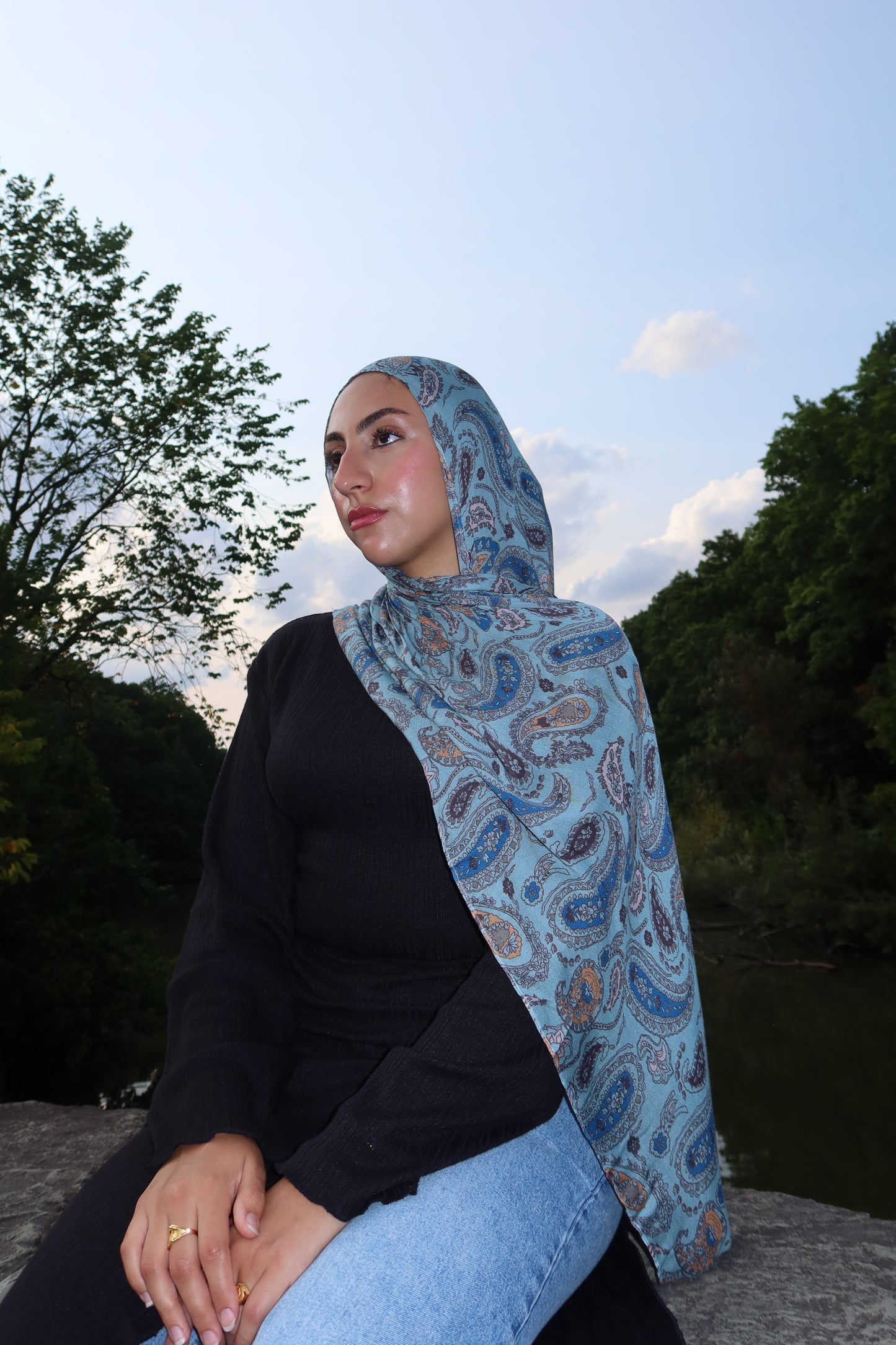 Dreamy Blue Paisley