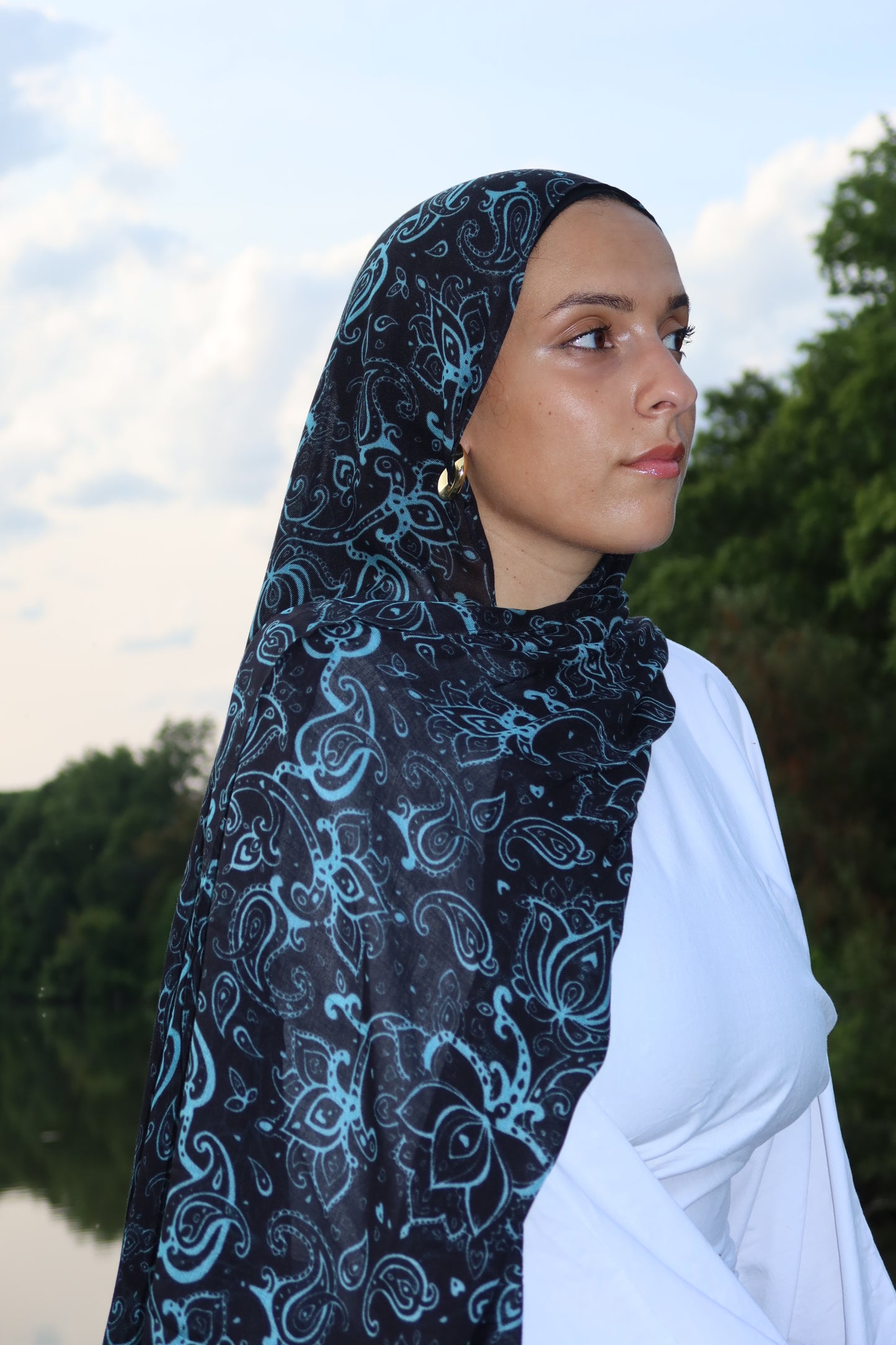 Midnight Teal Paisley