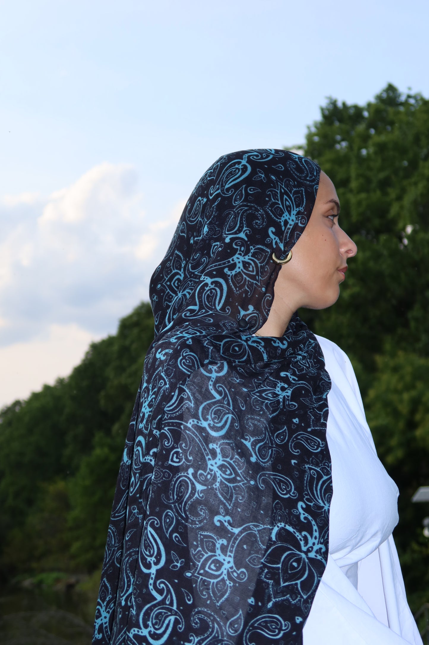 Midnight Teal Paisley