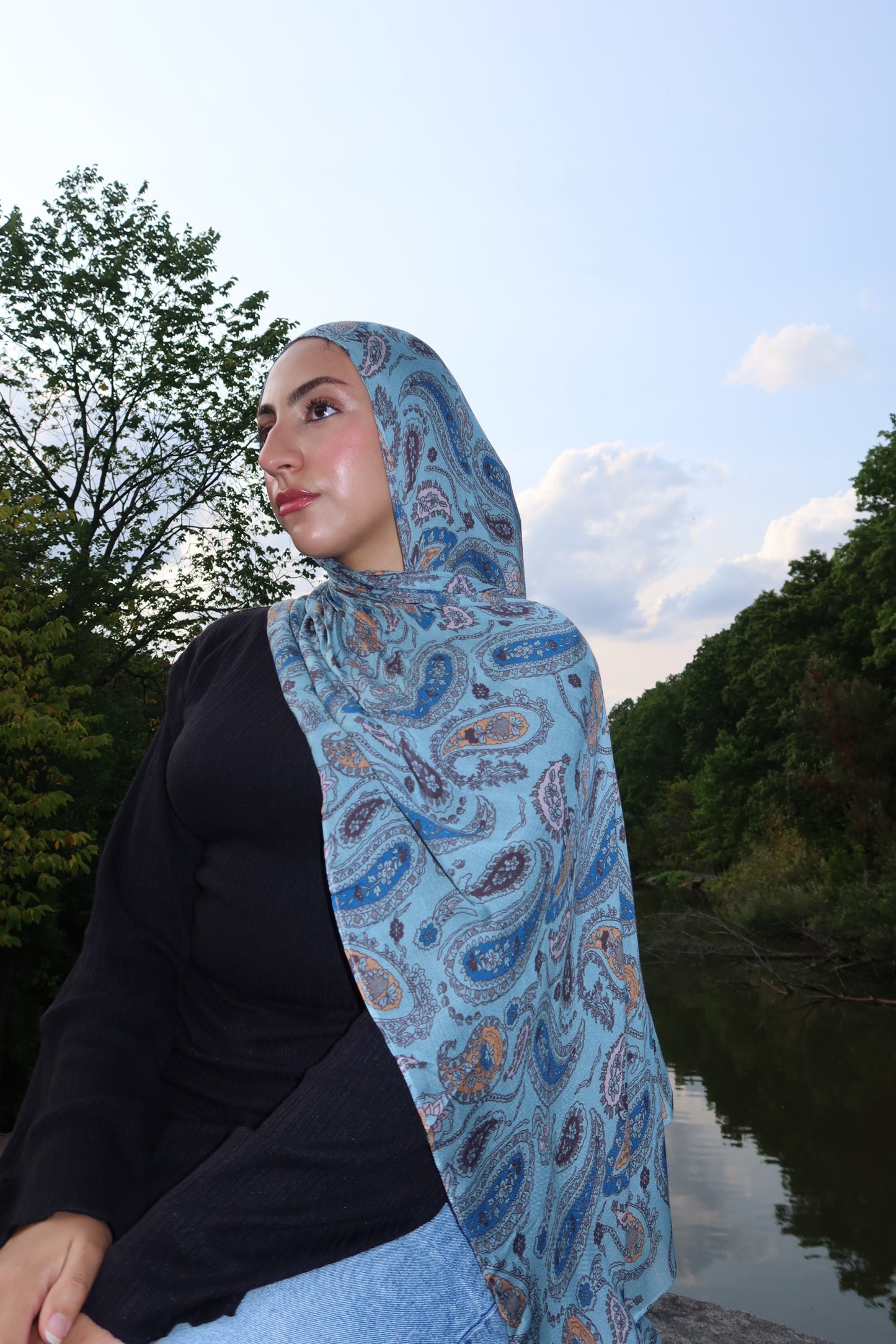 Dreamy Blue Paisley