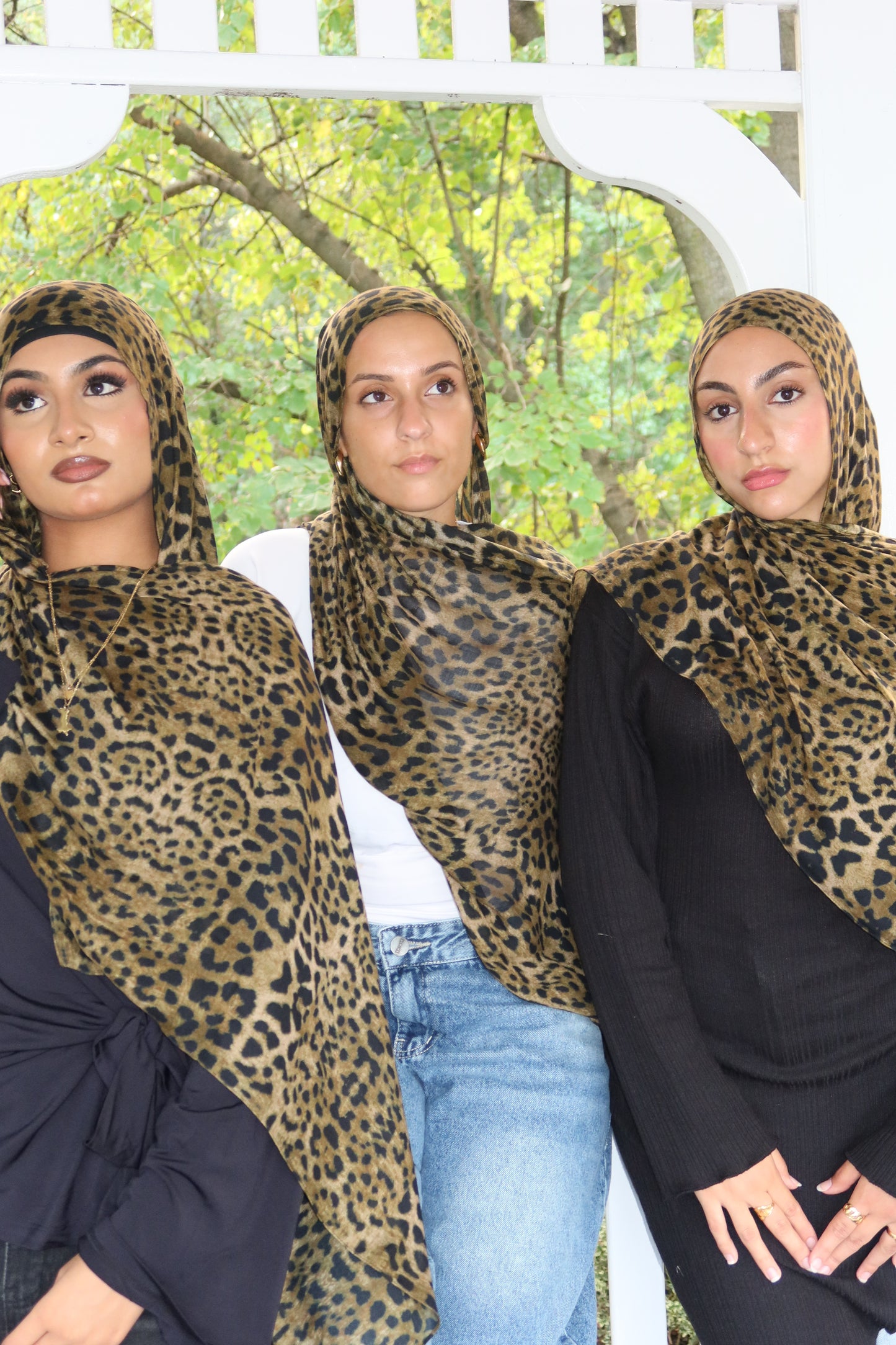 Leopard
