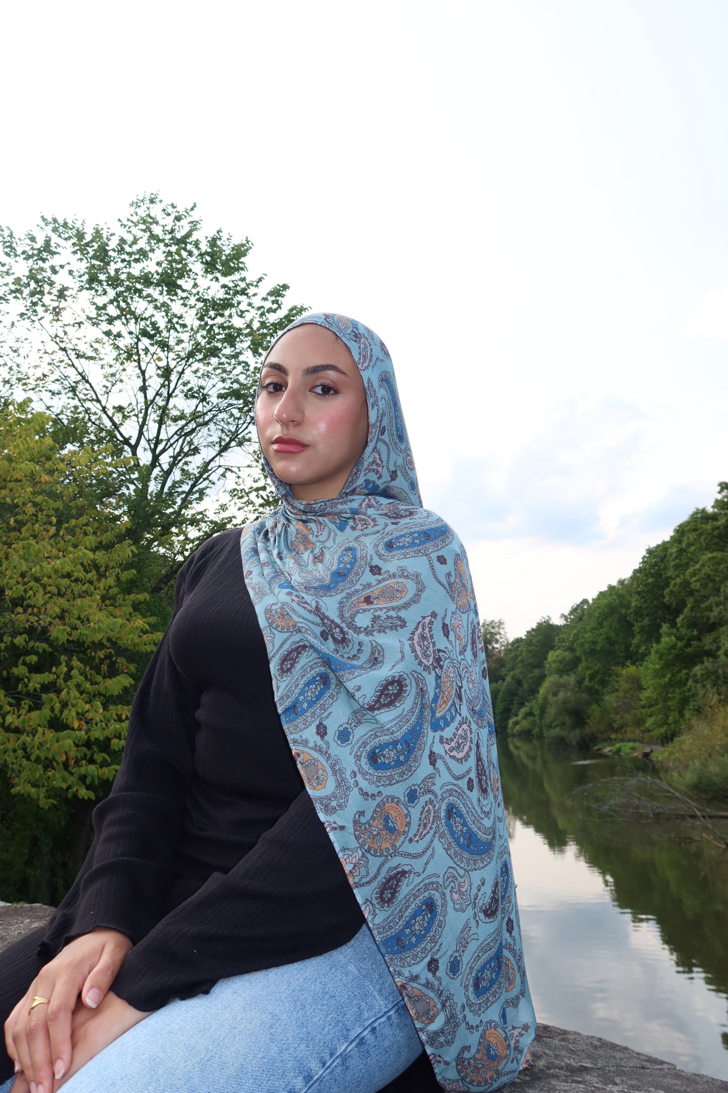 Dreamy Blue Paisley