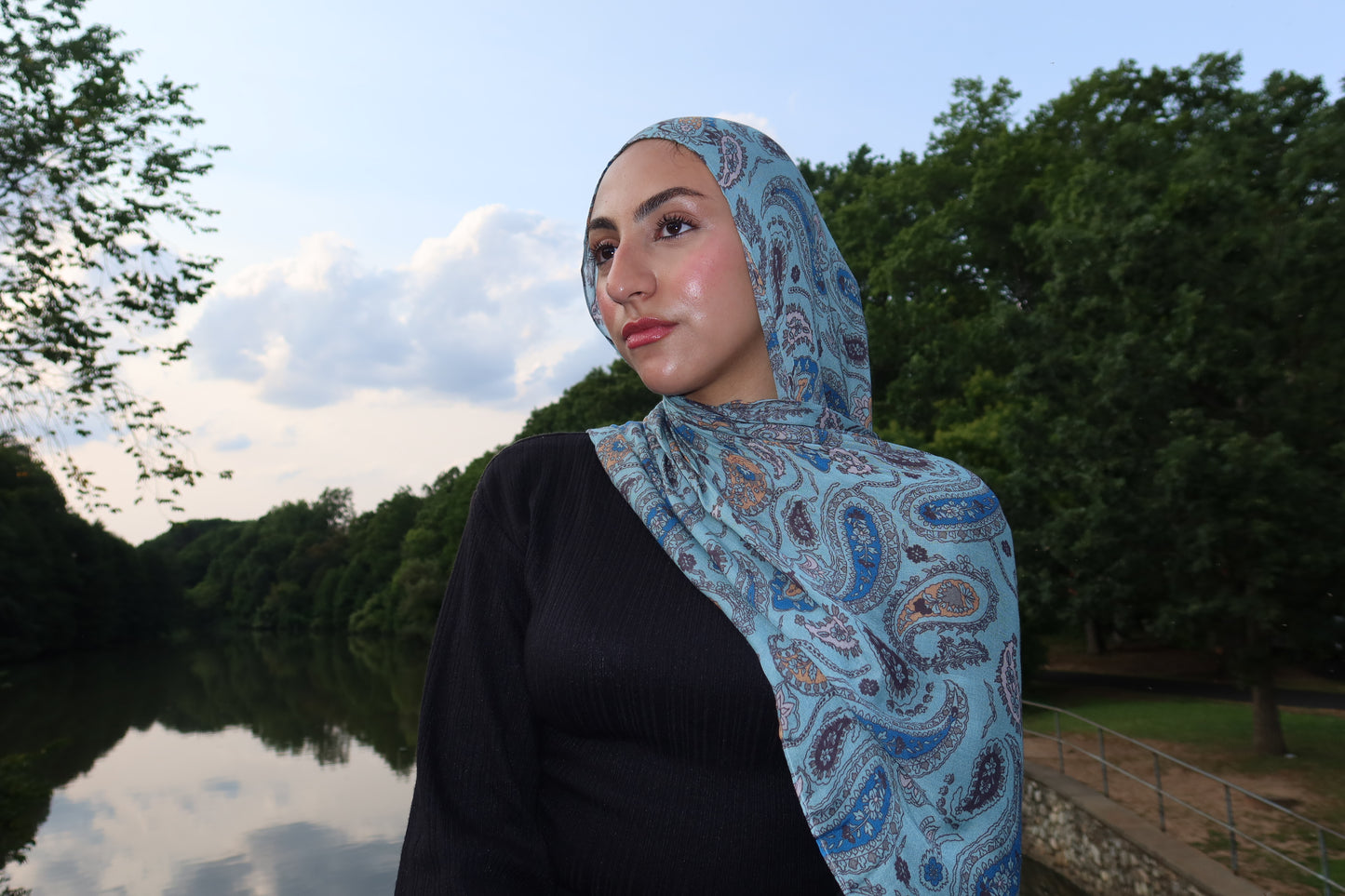 Dreamy Blue Paisley