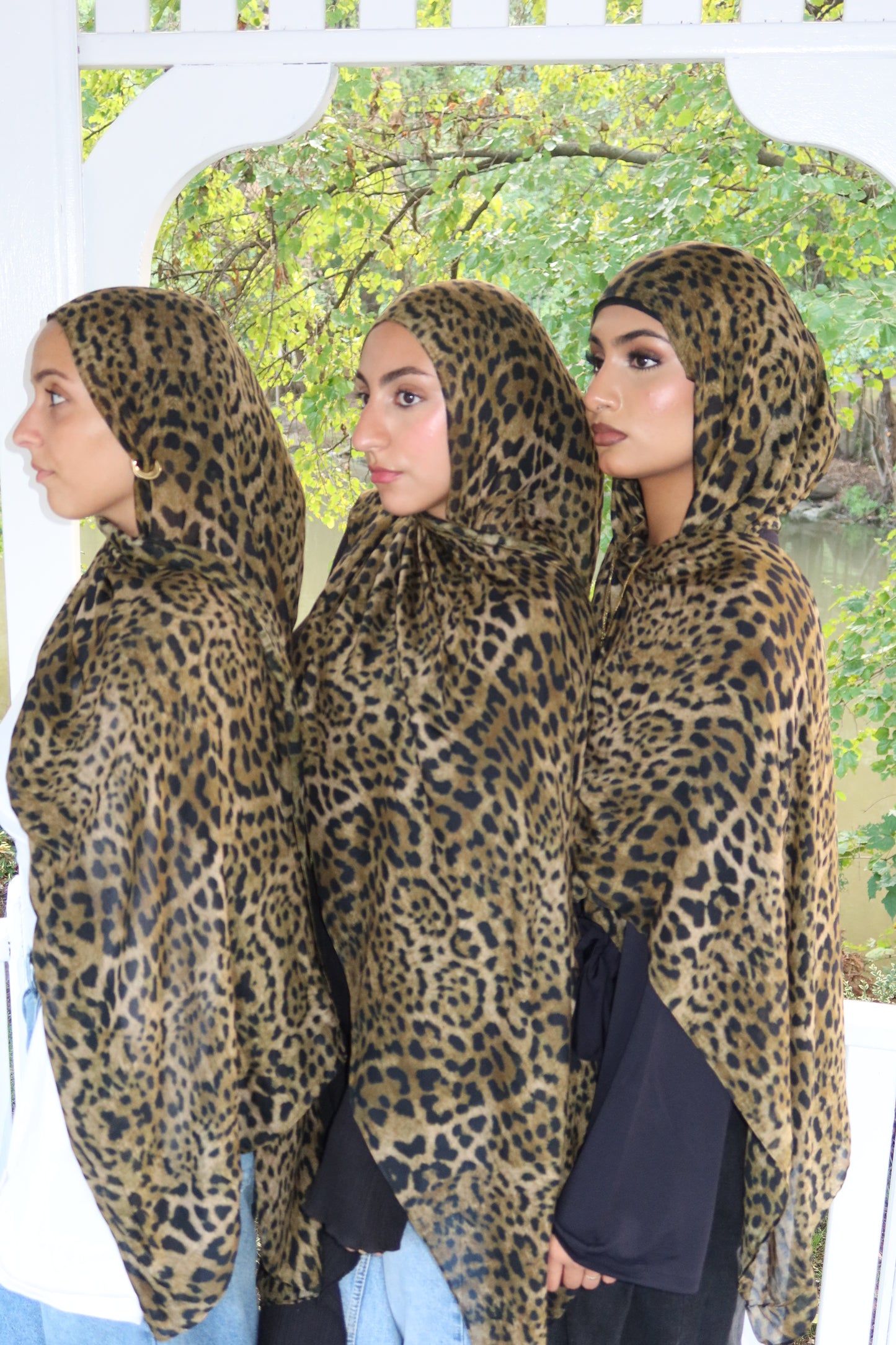 Leopard