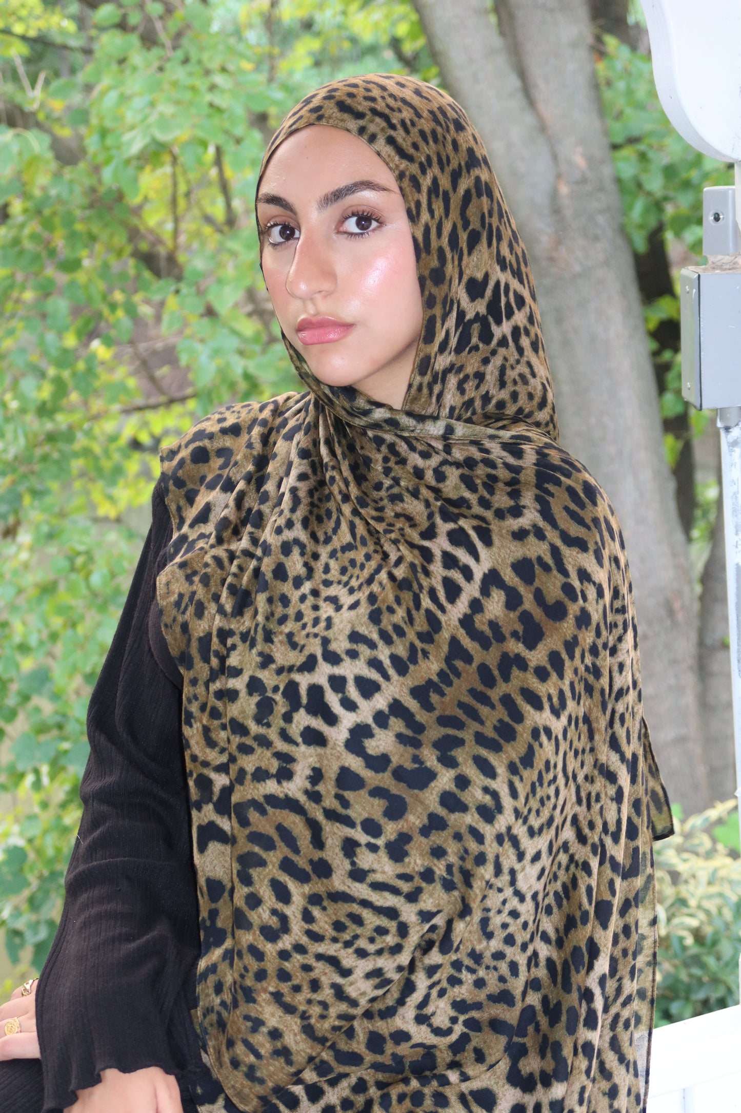 Leopard