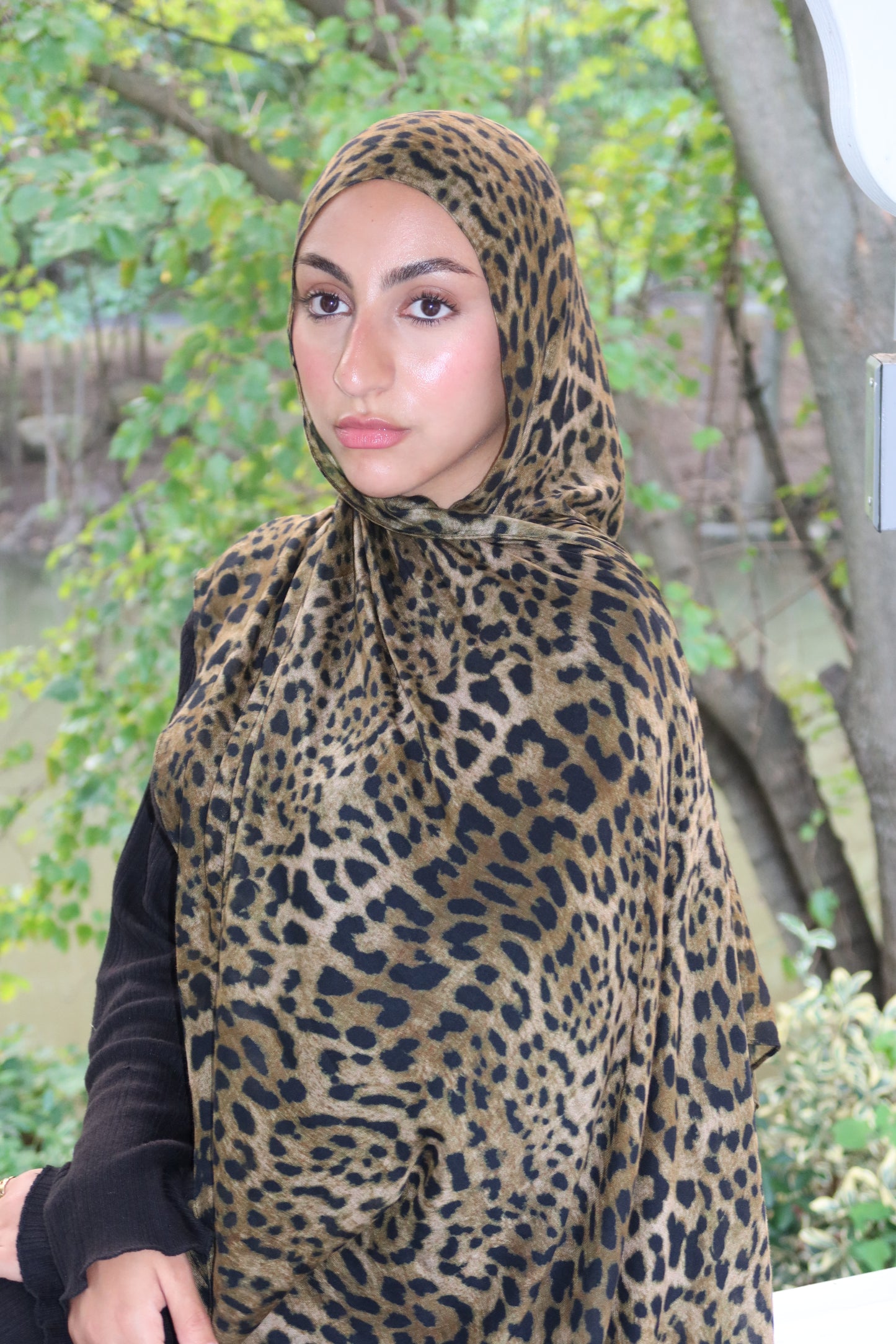 Leopard