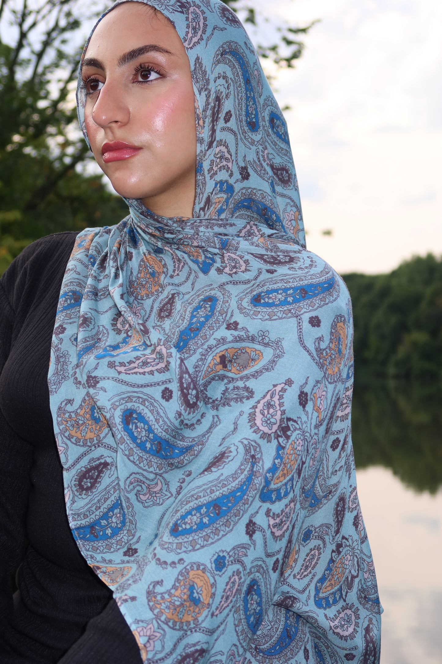 Dreamy Blue Paisley