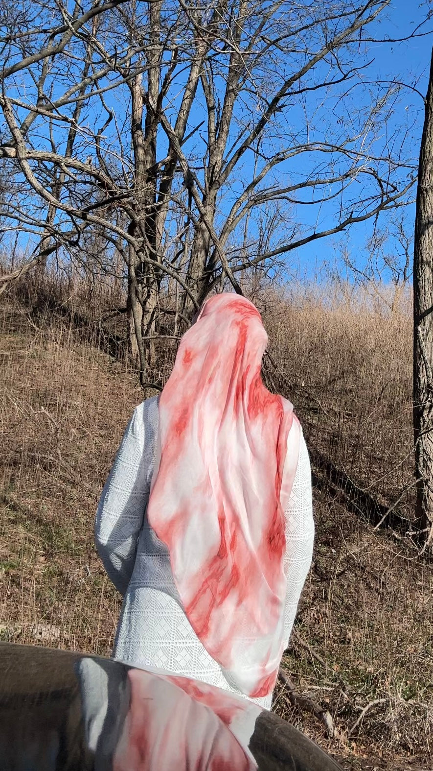 Raspberry Sorbet