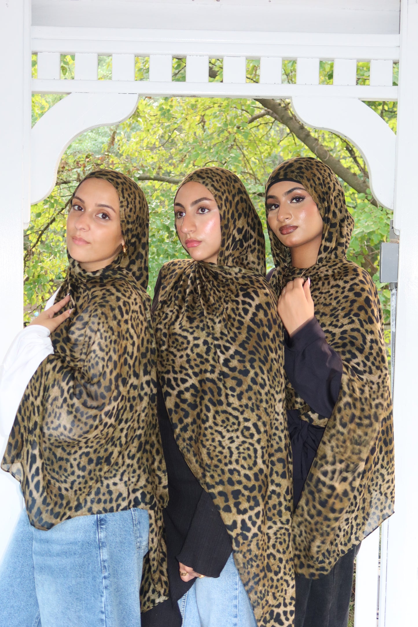 Leopard