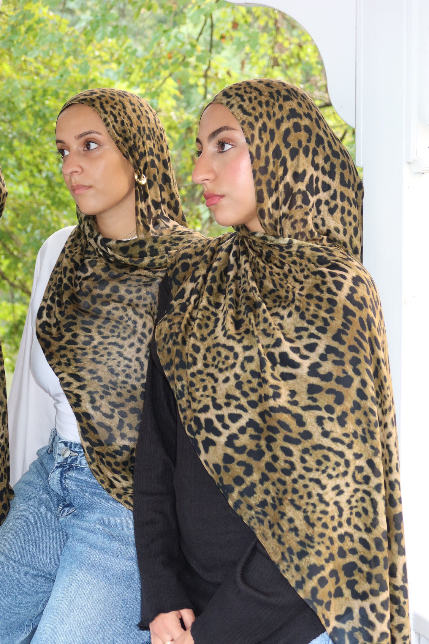 Leopard