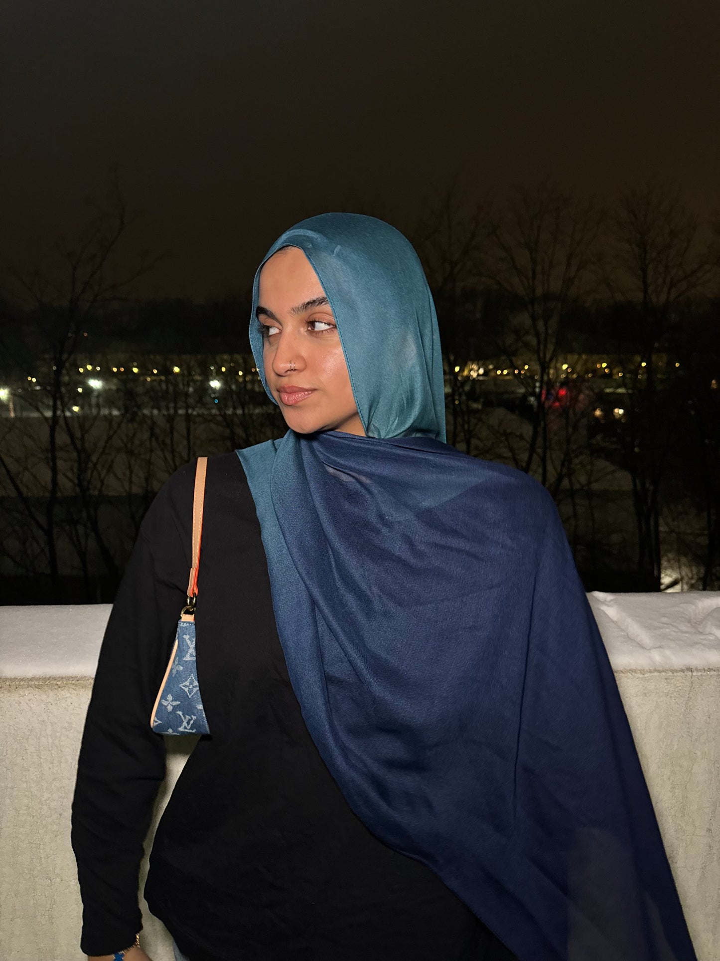 Ombre Blues