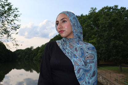 Dreamy Blue Paisley