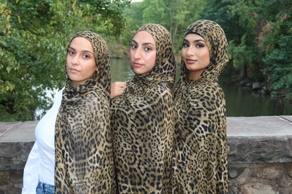 Leopard