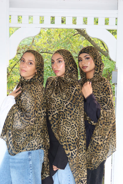 Leopard